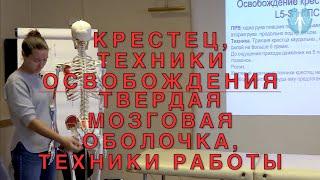 Техники освобождения крестца. Техники работы с твердой мозговой оболочкой. Прикладная кинезиология