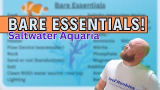 Basic equipment required for a Saltwater Aquarium in 2024