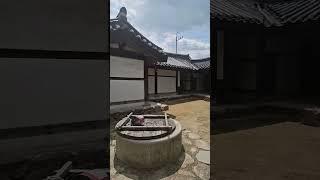 250년(보호수)  #모과나무#보호수#전통가옥 #청문당