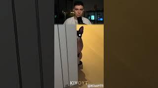 КОТЫ НЕ СТРАШНЫЕ НО ПОСЛЕДНИЙ Shorts Глент
