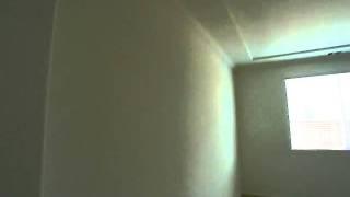 Lamprey2.MOV