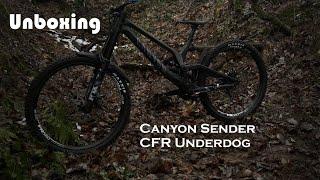 Canyon Sender CFR Underdog Unboxing