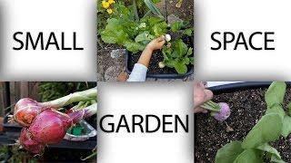 Small Space Garden - Ideas To Grow Plants In Apartments, Patios and Small Areas - in 4K