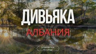 Дивьяк, Албания | Гид для туриста | Природное достояние Албании