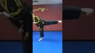 Basic Karate: Side Kick #kenpo #karate #sidekick #shorts