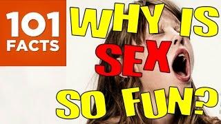 Why Is Sex So Fun? 101 Facts Explains...