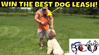 lifehandle hands free leash system GIVEAWAY!! | bco review |