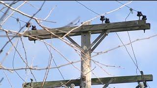 1,800 DTE Energy customers still without power 4 days after ice storm
