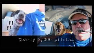 "Dog is My Co-Pilot" by Patrick Regan