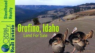 Land on Upper Fords Creek For Sale Orofino, Idaho