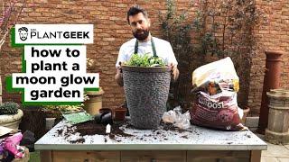 How to plant a moon glow garden | Mr Plant Geek