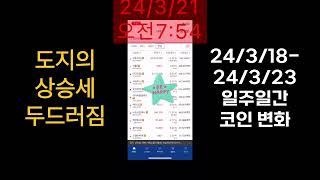 코인바라기~ 일주일 코인차트. 지금은 도지가 대세다.