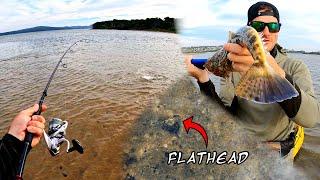 Fishing for Flathead in the shallows!