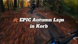  EPIC Autumn Laps in Korb: Kreuzeiche x Kurventrail x K-Stuhl x Shorty