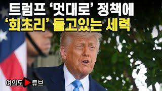 [여의도튜브] 트럼프 '멋대로' 정책에 '회초리' 들고있는 세력 / 머니투데이방송