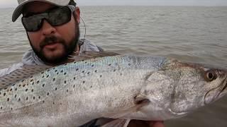 Speckled Trout Fishing | BIG Speckled Trout Tournament WIN #TournamentEdition5