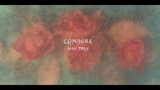 CONDORE - May Tree [OFFICIAL MUSIC VIDEO]