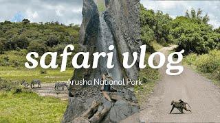 Safari in Tanzania: incredible views & wildlife | Arusha National Park