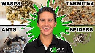 Making $790 Being a Pest Control Technician