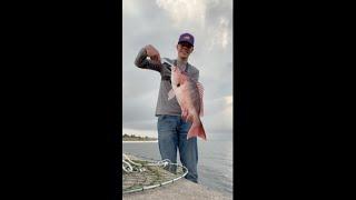 Catching BIG Red Snapper from shore! (Fishing NAS Pensacola)