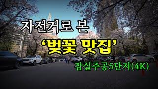 잠실주공5단지 벚꽃(재건축이 기대되는 아파트#3 예고편)