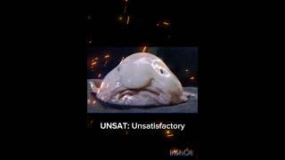 Military Phrases: UNSAT #army #navy #veteran #military #marine #airforce #history