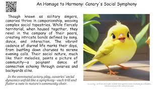 Canary: Discover the Wonders of Nature #CuteBabyAnimals #AdorableAnimalFacts#金丝雀：探索大自然的奇迹 #可爱宝宝动物 #迷