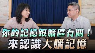 '23.05.24【財經起床號】腦科學家謝伯讓談「你的記憶跟腦區有關！來認識大腦記憶」