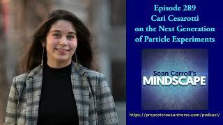 Mindscape 289 | Cari Cesarotti on the Next Generation of Particle Experiments