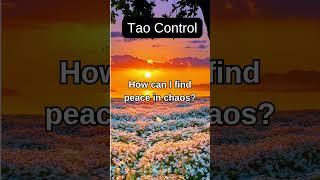 The Tao Whisper 1:  Control