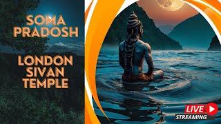 Watch Live| Soma  Pradosh |London Sivan Temple|19-05-2024