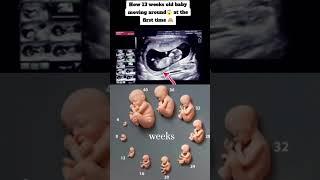 13 week baby movement #baby #movement