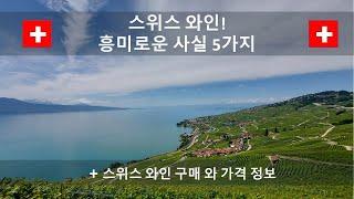 레만 호수와 라보 지구 포도밭을 보면서 듣는 스위스 와인이야기