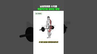 남성호르몬 수치 높이는 방법
