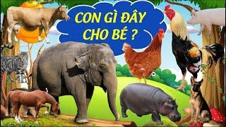 Con gì đây cho Bé học, Các con vật nhảy vui nhộn cho Bé nhanh biết nói tiếng việt | Dạy bé học