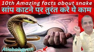  साप के काटने पर तुरंत करे ये काम | Top 10 wild snake scenes | Deadly Snakes |  Alisbahgyan 