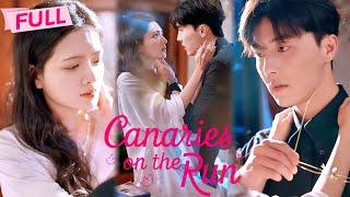 [MULTI SUB] Canaries on the Run【Full】Romantic marriage between two sisters and brothers | Drama Zone