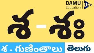 శ - గుణింతం | శ - తెలుగు గుణింతాలు | Easy to Learn Telugu Guninthalu | Damu Education Telugu #Damu