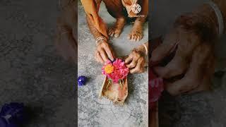 Kartik purnima #grand mother prepare boat #viral shorts