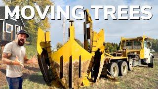 Making Room for a Big Project || Moving Big Trees