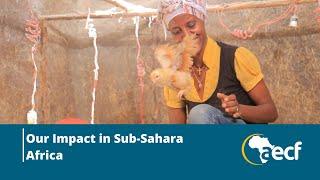 AECF's Impact in Sub-Sahara Africa