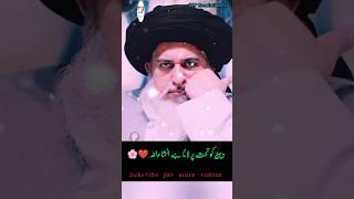 Deen Ko Tahtt Pa Lana Hai || Allama Khadim Hussain Rizvi ||TLP Revolution313 #shortvideo