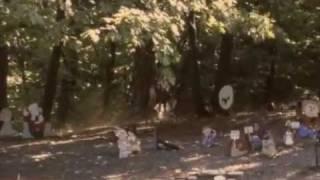 Back Home written and performed by Tim McCaffrey and Courtnay Field