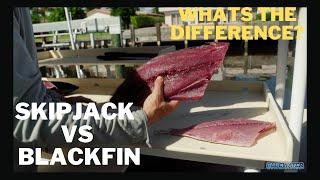 Is Skipjack Tuna Good to Eat??