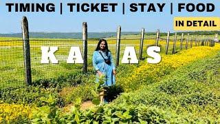 Kaas Pathar Satara 2023 | Kaas Plateau Detailed Vlog | Valley Of Flowers Maharashtra