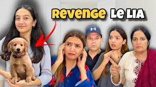 Finally Hira Say Revenge Le lia | New Dog |Hira ko Room me lock krdia  |Sistrology|Rabia Faisal|