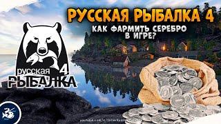 Русская Рыбалка 4 — Как фармить серебро? Гайд для новичков