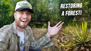 Creating A New Wildlife Garden With Native Plants | Restoring a Forest!