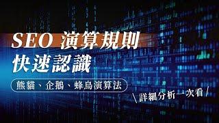 【Google 演算法】認識三大 SEO 演算規則，熊貓、企鵝、蜂鳥詳細分析！