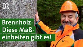 Brennholz kaufen: Wie funktionieren Maßeinheiten für Holz? | Mit Holz heizen | Unser Land | BR